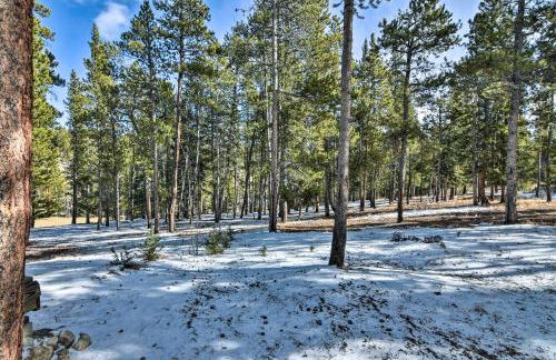 Remodeled Fairplay Log Cabin with Wood-Burning Sauna - Foto 34