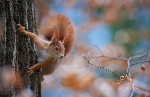 Rowan House - Foto 37