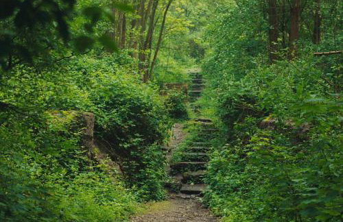 Gemütlich im Pott, nahe Essen und Veltins Arena - Foto 20