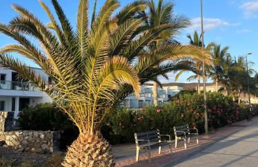 Cactus del Mar - Photo 32