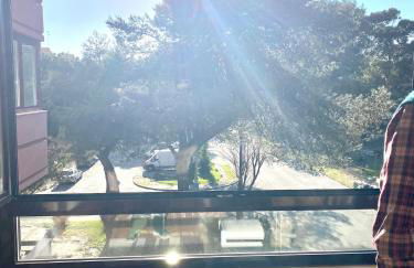 Plage João de Caparica - Foto 48