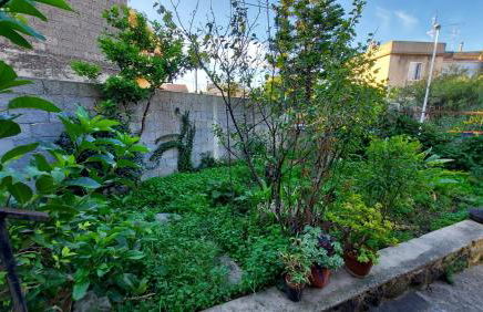 Home Green - Foto 23