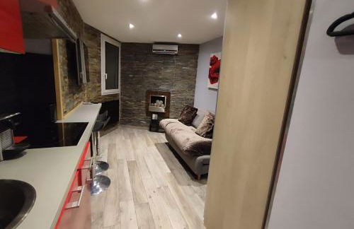 Studio les 2 Alpes au Village 1800m-Commerces et télésiège à 50m-Retour ski au pied - Photo 2