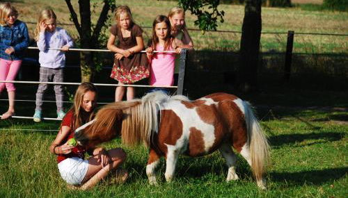 Ferienhof Blunck - Foto 2