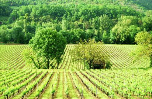 Appealing Apartment in Vezac With Swimming Pool - Foto 102