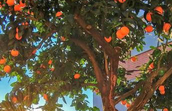 Appartamento L'arancio - Foto 28