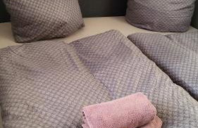 Ferienbutzen Harz Flieder - Foto 26