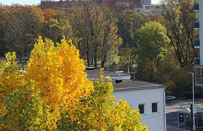 Altstadthaus Cityappartements - Foto 32