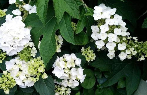 LuNesco alloggio DiVino, Chambre d'amis - Foto 18