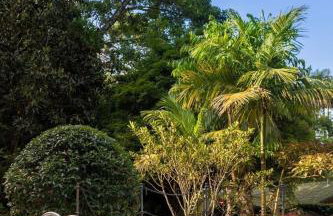 CurtaTere piscina lareira pet friendly jardim - Foto 57