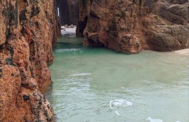 The Flower House - Photo 13