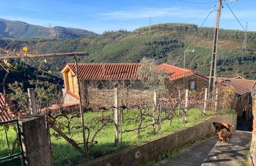 Casa do Ferreiro - Bocado Arganil - Foto 1