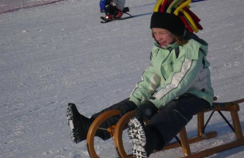 Haus Paradies Superior FEWO`S Loft, Terrasse, private Sauna, aktiv Card, Sankt Englmar - Foto 41