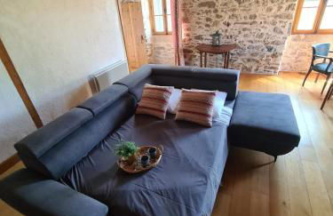 La Dorgisière - Ferme du XVIIe rénovée, grand jardin arboré à 15 min du Puy duFou - Foto 33