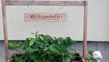 Ferienwohnung Waldblick in Frauenstein - Foto 3