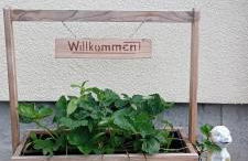 Ferienwohnung Waldblick in Frauenstein - Foto 3