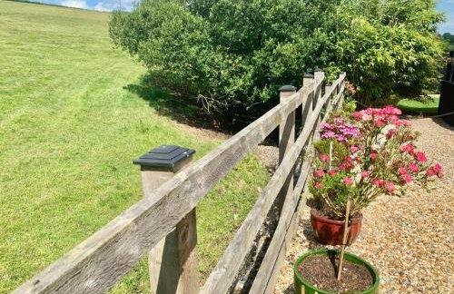 Little Bo Peep - Foto 10