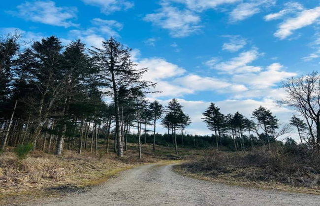 Apartment in Bruchhausen mit Terrasse - Foto 17