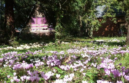 La Rossignolerie - Cabane aux oiseaux - Foto 11