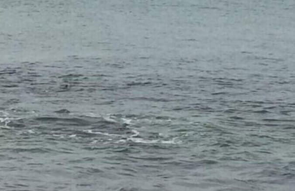 Baan Dear Home Stay - Photo 28