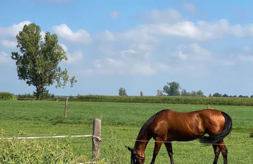 Apartments ideaCasa - Foto 11