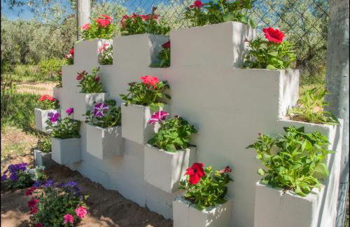 Sunray Separate Villa - Photo 32