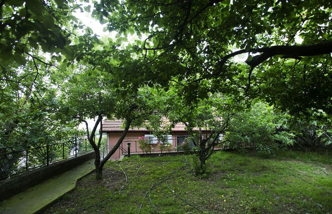 Yaprak Dag Evi - Foto 22