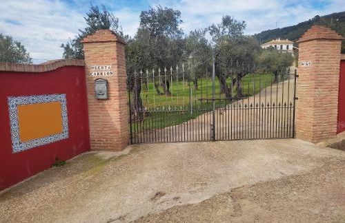 Huerta Carrión, Finca en El Pedroso - Foto 47