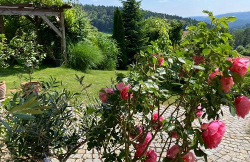 Zum Sonnenhuegel - Foto 34