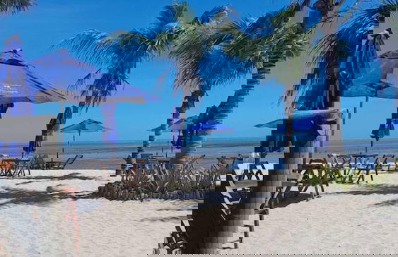 Reserva Barra Grande SPE - Foto 14