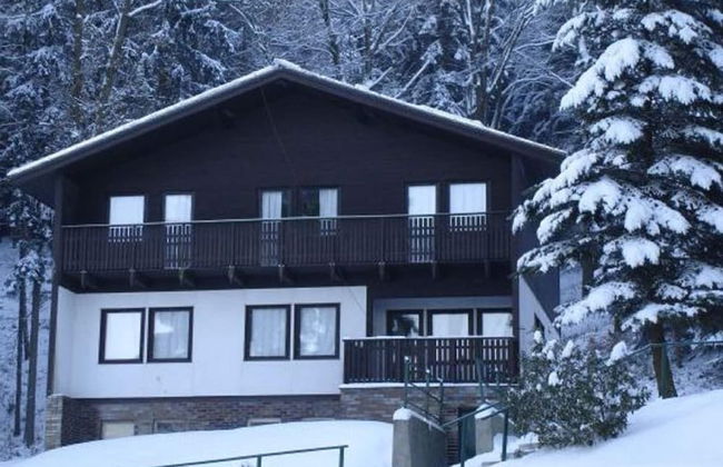 Chalet in Dolni Brusnice Near Ski Lift - Photo 1