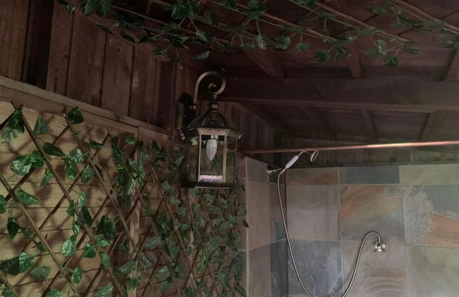 Starry Meadow - Foto 5