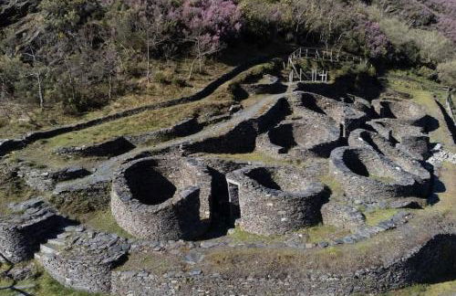 El Rincón de la Mimosa - Foto 19