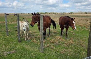 Akrofina Ranch & Grill - Foto 17