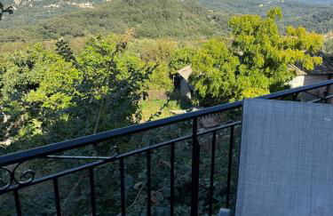 Sofia's Bella Vista Pagoi - Photo 67