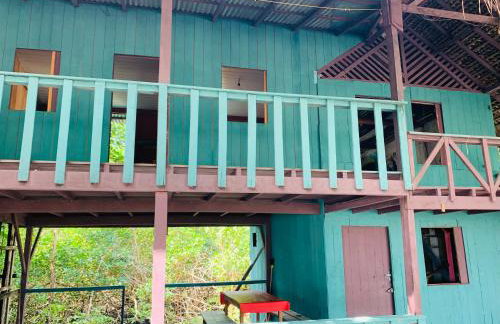 FM Algodoal - Foto 17