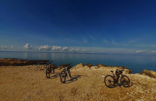 Apartmani Milena - Foto 75