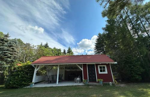 Kwiat Paproci - Foto 59