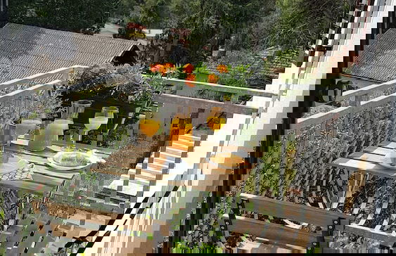 Apartments Iskra - Foto 33