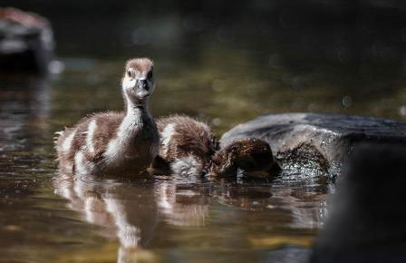 Paddler's Lane Retreat - Foto 64