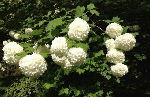 Valle Paraizo - Foto 61