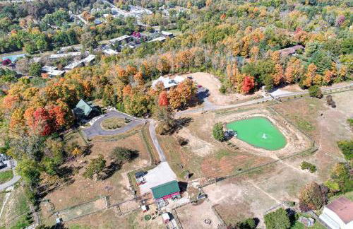 Large Log Cabin Chalet w/ Hot Tub - Horses & Lake! - Foto 5