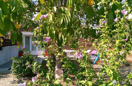 Gite en campagne g2072 - Foto 2