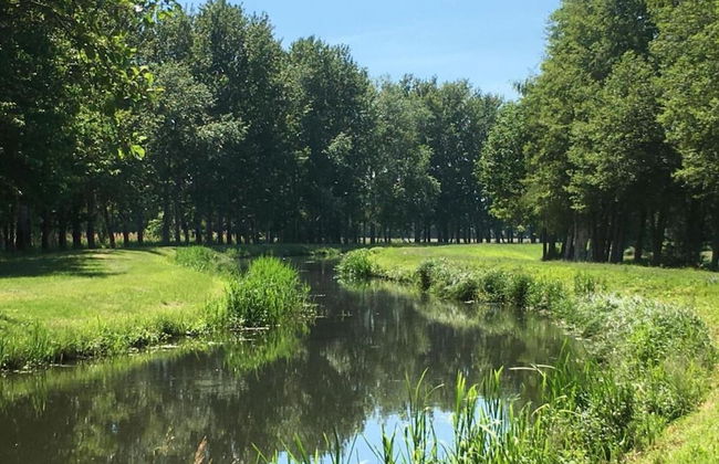 Ferienhaus in Brandenburg - Foto 24