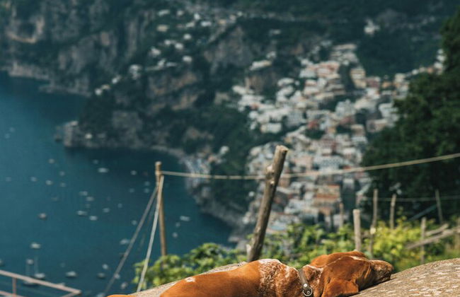 Ohana Villas - Foto 53