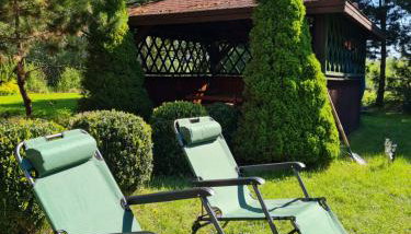 Przystanek Śniardwy - Foto 5, Garden