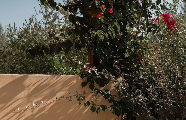 IUTA Glamping & Farm - Foto 23