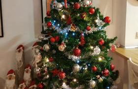 Casa los Tres Nogales - Foto 45