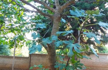 Apartman Garma - Photo 17