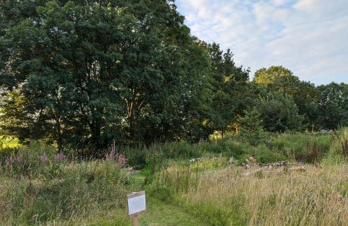 Traumkrone Ferienwohnungen - Wiesengrün - Foto 37